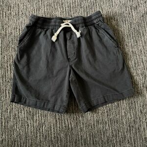 Marine Layer Saturday Canvas shorts size small